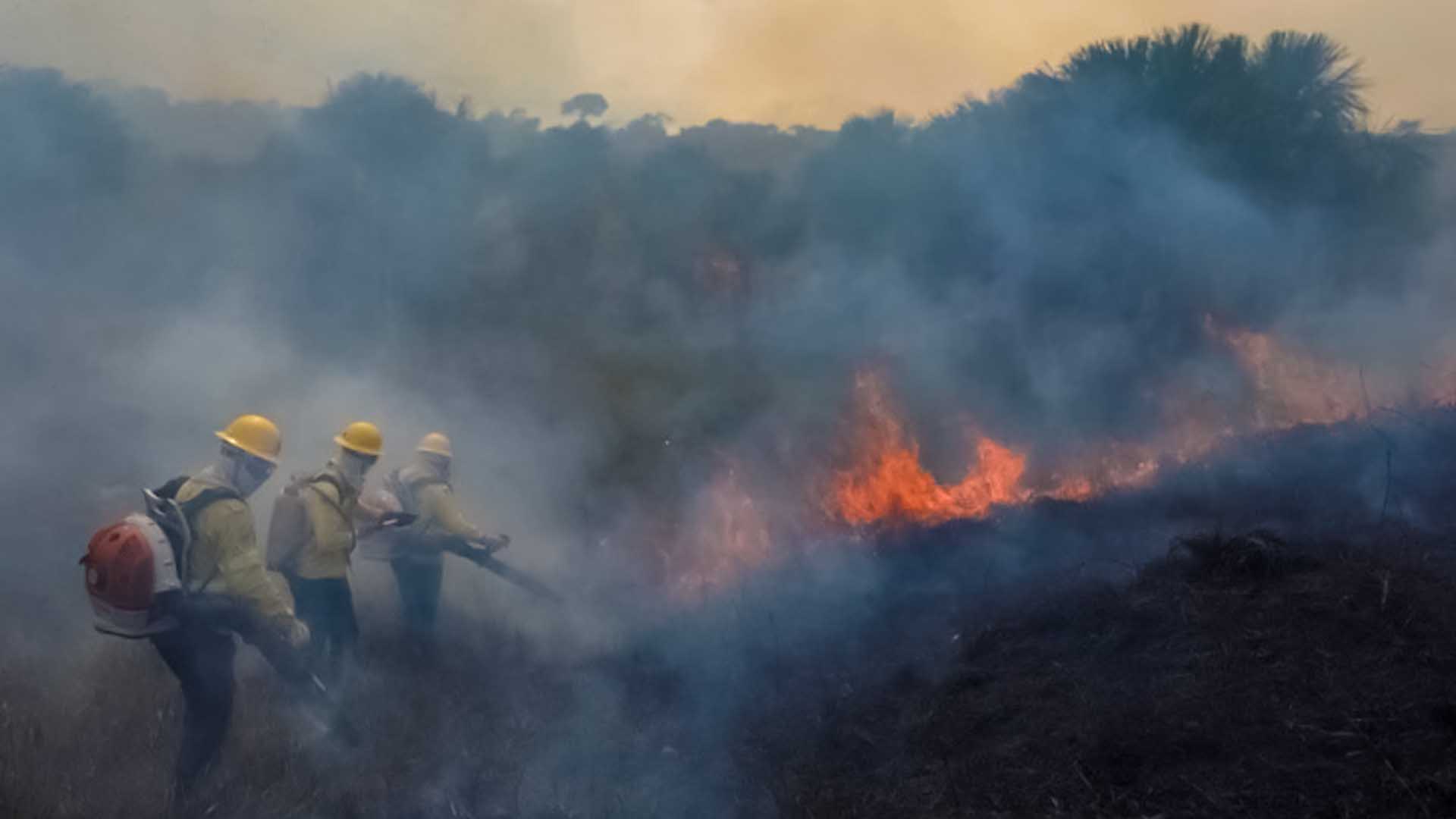 Brazilian Amazon suffers from most severe August fires in over a decade